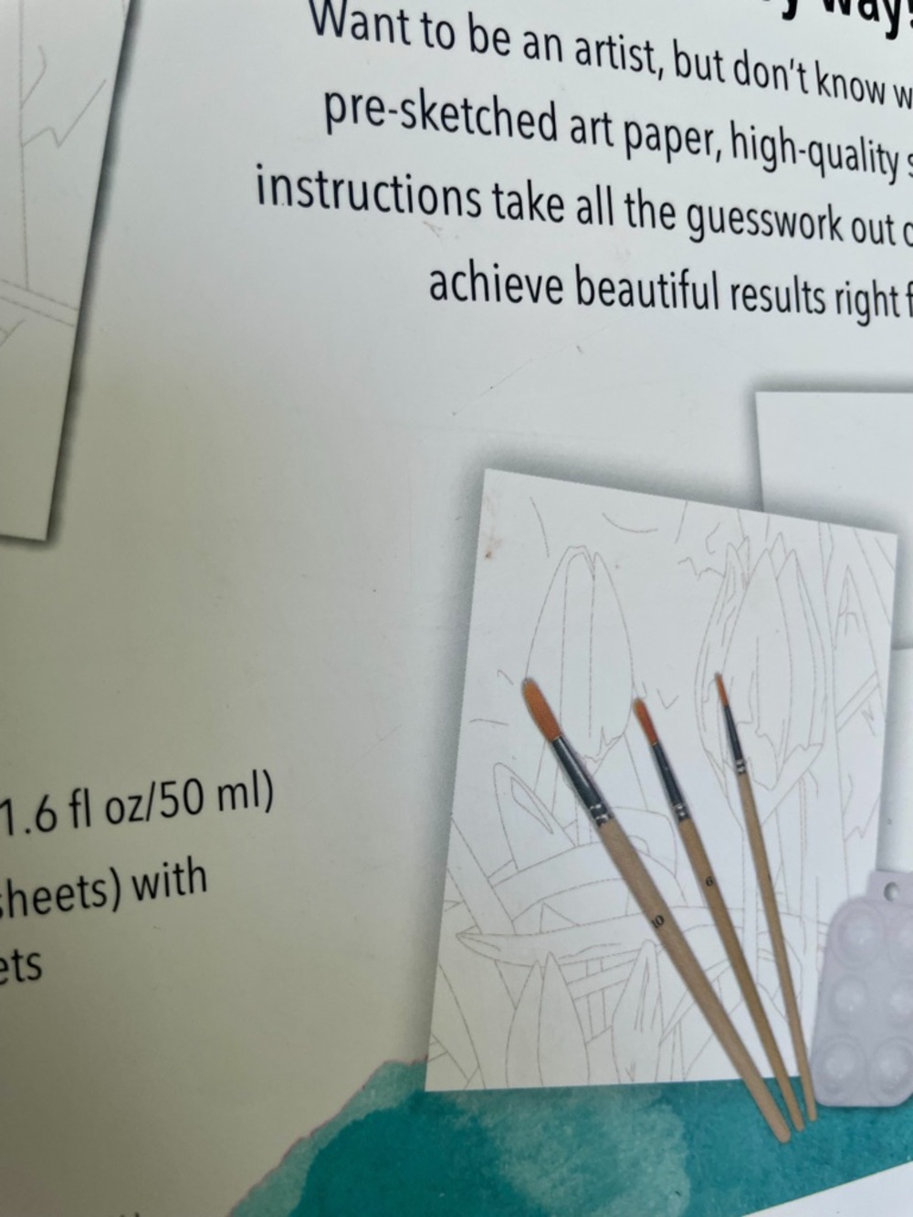 DIY Kit - The Art of Watercolor Painting - Brand New - Arts & Crafts Activity - Picture 9 of 9